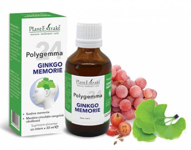 Polygemma 24 ginkgo memorie, 50ml - Plantextrakt