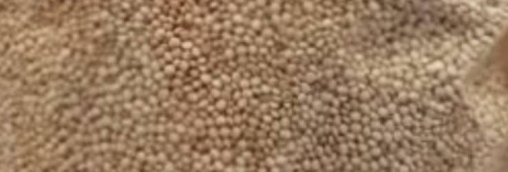 Quinoa 300g - Phytopharm