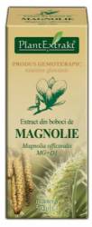 Extract muguri magnolie, 50ml - Plantextrakt