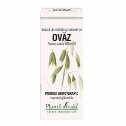 OVAZ - extract din mladite si radice - gemoderivat -  50ml - PlantExtrakt