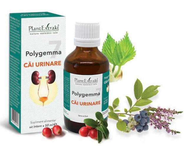 Polygemma 7 - Cai urinare 50ml Plantextrakt