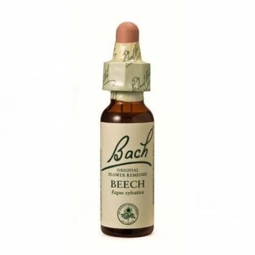 Beech - Fag (Bach3) 20ml - Remediu Floral Bach