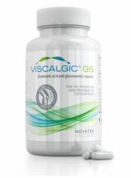 Viscalgic GS, 120cps - Novatex Bioengineering