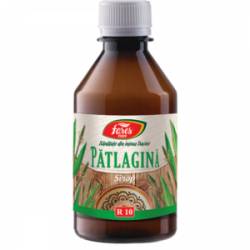 Sirop Patlagina 250ml - Fares