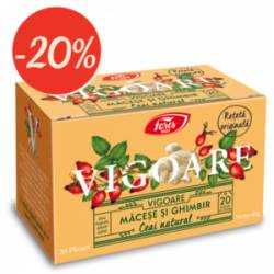 Vigoare, ceai de macese si ghimbir, 20plicuri - Fares