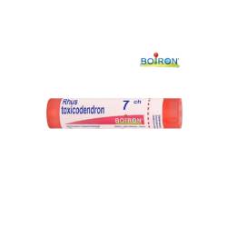 Boiron Rhus Toxicodendron 7 CH