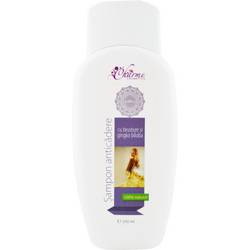 Sampon Anticadere, 250 ml, Charme