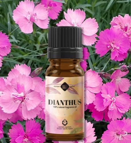 Parfumant natural Garoafe, 10ml - Mayam