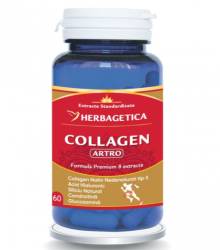 Collagen artro 60 capsule