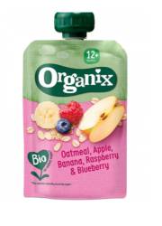 Organix Piure bio de ovaz cu mere, banane, zmeura si afine 12+ 100 g