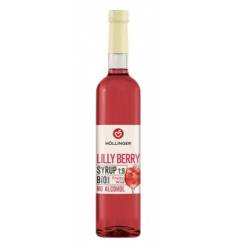 Sirop de fructe de padure 1:9 Lilly Berry, 500 ml, eco-bio, Hollinger