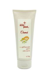 Crema cu galbenele, pelin si sanziene 55g - Nera Plant