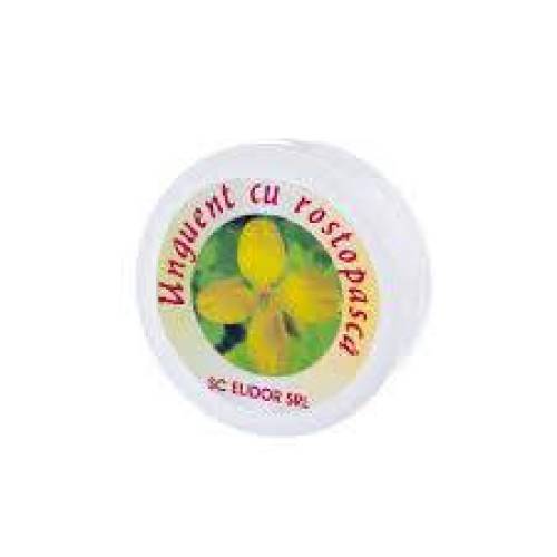 Unguent cu Rostopasca, 50 g, Pontica Elidor