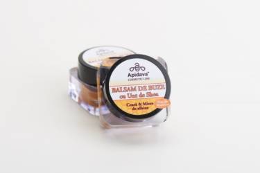 Balsam de Buze cu Miere, Ceara de Albine, Unt de Shea si Ulei de Morcov, 10 ml, Apidava