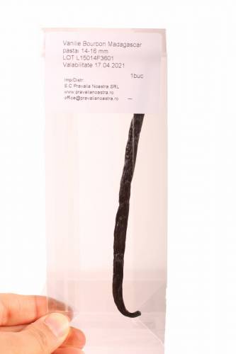 Vanilie Bourbon pastai 14-16 mm 1bucata - Nutrissimo