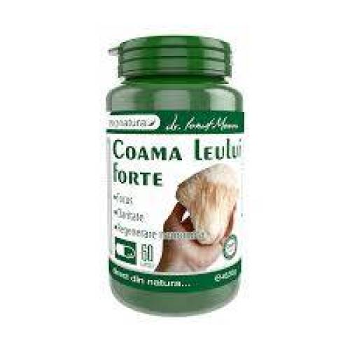 Coama leului forte, 60 capsule, Medica - ProNatura