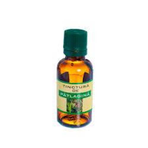 Tinctura de Paltagina, 30 ml, Elidor