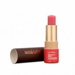 Balsam buze ayurvedic cu hibiscus, 3.5g - Soultree