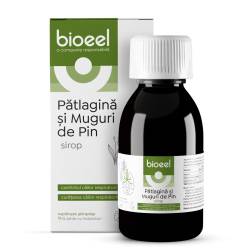 Sirop de Patlagina si muguri de pin, 120ml, Bioeel