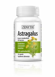 Astragalus 450mg 30 cps - Zenyth