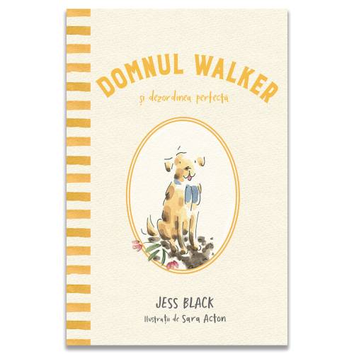 Domnul Walker si dezordinea perfecta - Carte - Editura DPH