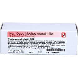 Thuja D 12 Globuli 10 g