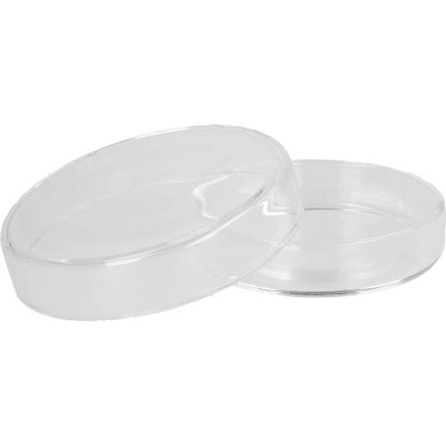 Petrischale 6 cm 1 St