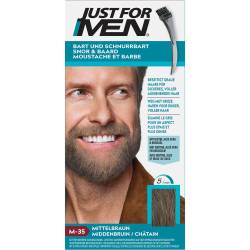 Just for men Brush in Color Gel mittelbraun 28,4 ml