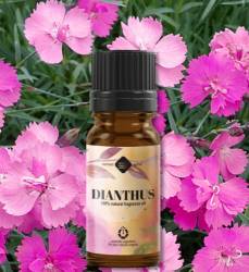 Parfumant natural Garoafe, 10ml - Mayam