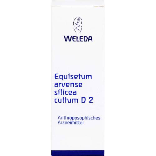 Equisetum Arvense Silicea cultum D 2 Dilution 50 ml