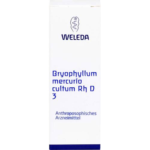 Bryophyllum Mercurio cultum Rh D 3 Dilution 20 ml