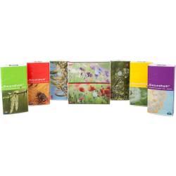 Taschentücher Motiv Heuschnupfen 1 St