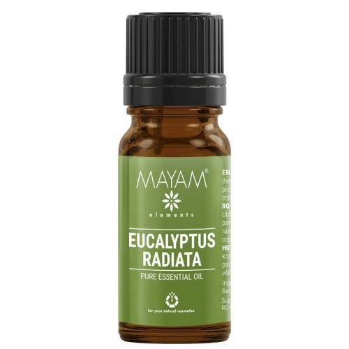 Ulei esential de Eucalipt Radiata, eco-bio, 10ml - Mayam