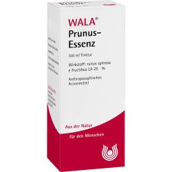 Prunus Essenz 100 ml