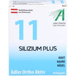 Adler Ortho Aktiv Kapseln Nr.11 60 St