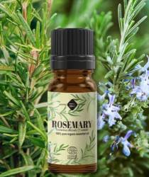 Ulei esential de Rozmarin, eco-bio, 10ml - Mayam