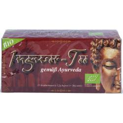 Ingwer Tee bio 25 St