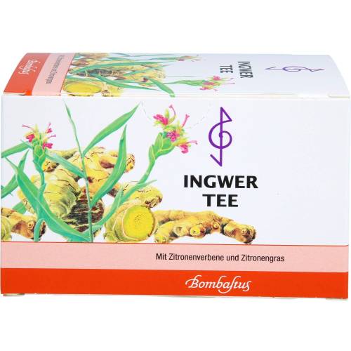 Ingwer Tee Filterbeutel 40 g