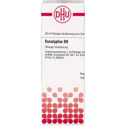 Eucalyptus D 6 Dilution 20 ml