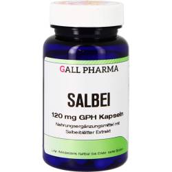 Salbei 120 mg Gph Kapseln 60 St