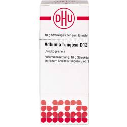 Adlumia fungosa D 12 Globuli 10 g