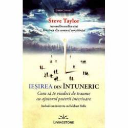Iesirea din intuneric, cum sa te vindeci de traume cu ajutorul puterii interioare - carte - Steve Taylor, Editura Prestige