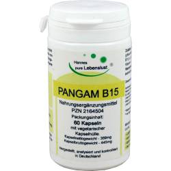 Pangam Vitamin B15 Kapseln 60 St