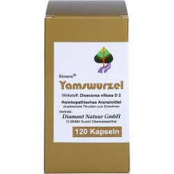 Yamswurzel Kapseln 120 St