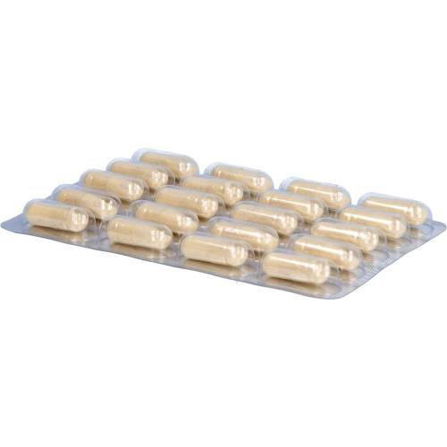 Aminocarin Kapseln 60 St