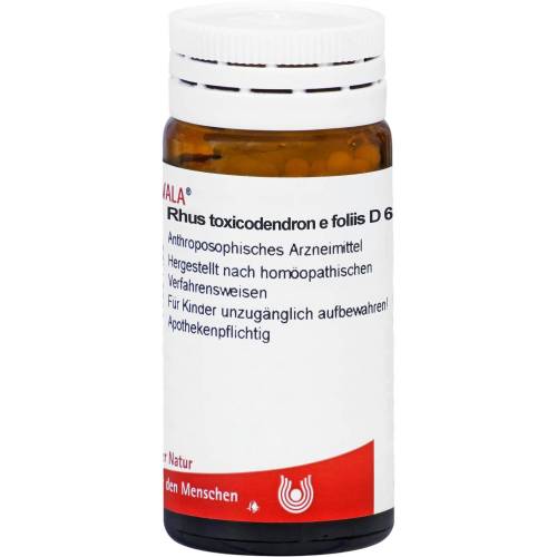 Rhus Toxicodendron E foliis D 6 Globuli 20 g