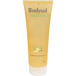 Bodysol Aroma Duschgel Lemon Zedernholz 250 ml