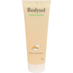 Bodysol Aroma Duschgel Milch und Honig 250 ml