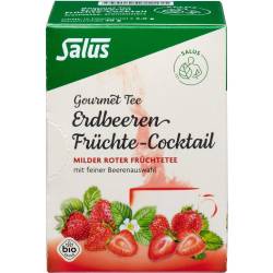 Erdbeeren Früchtecocktail Salus Filterbeutel 15 St