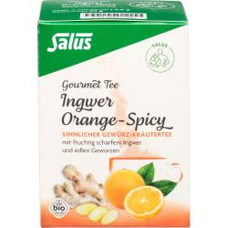 Ingwer Orange Würziger Tee Salus Filterbeutel 15 St